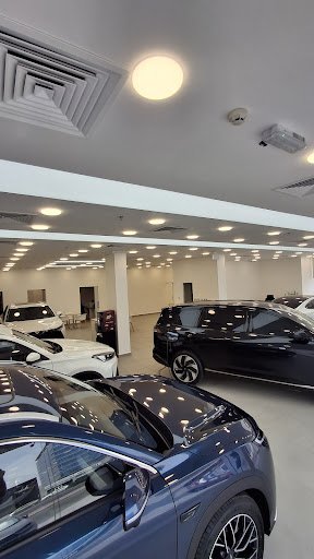 Arion Motors LLC