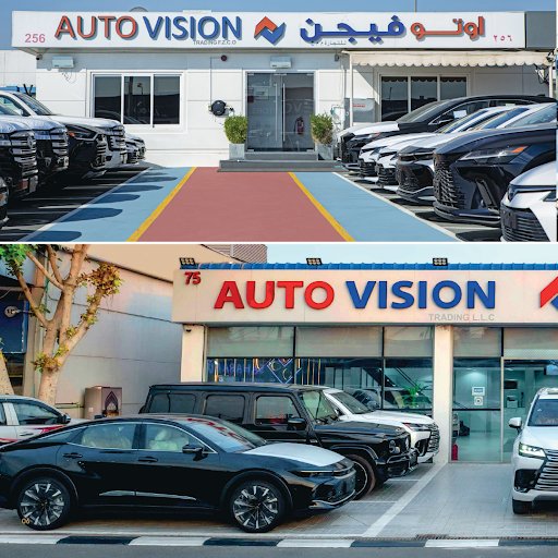 Auto Vision Trading LLC