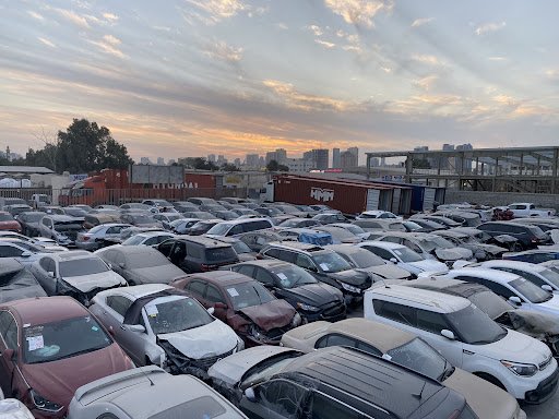 Sea Horse used cars