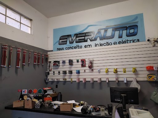 Everauto Auto Peças Elétricas