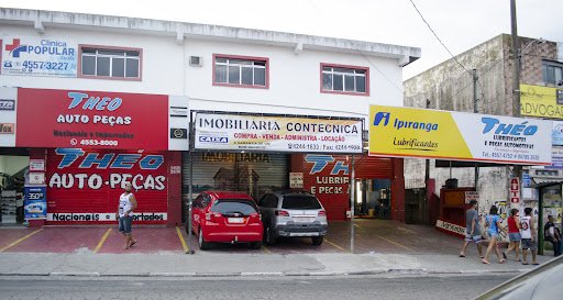 Theo Auto Peças