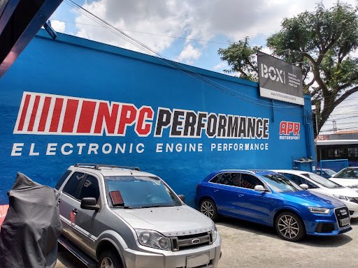NPC PERFORMANCE CHIP