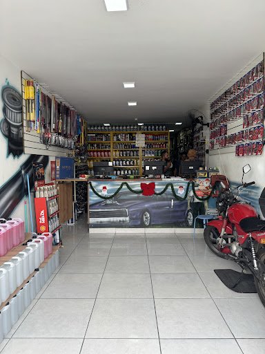 Auto Peças Mancha Car