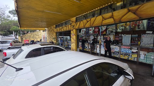 Oriental Auto Parts