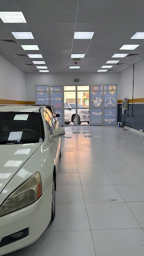 shabab al lisaili auto electric repair