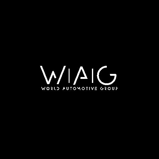 WORLD AUTOMOTIVE GROUP LLC