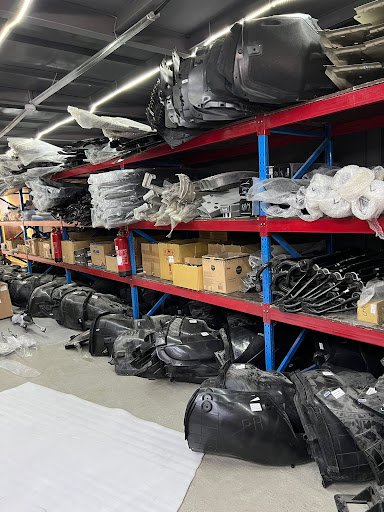 Vega Star Tesla Auto Parts