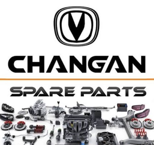 Auto Parts Company
